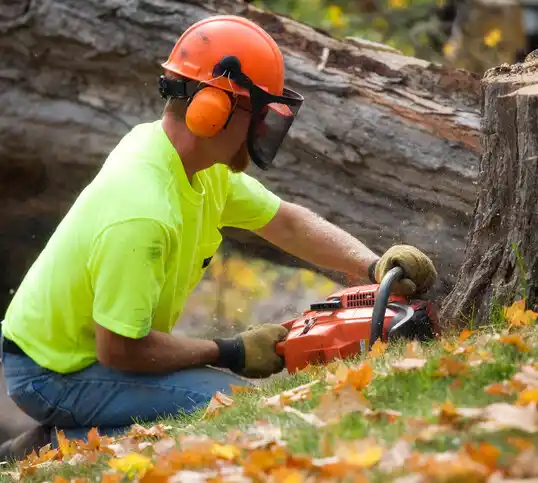 tree services Ossipee